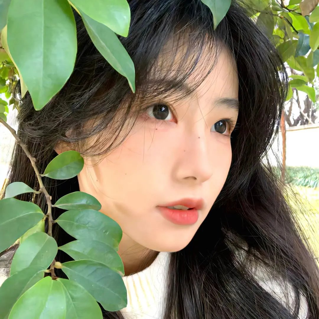 天堂岛疑云第八季